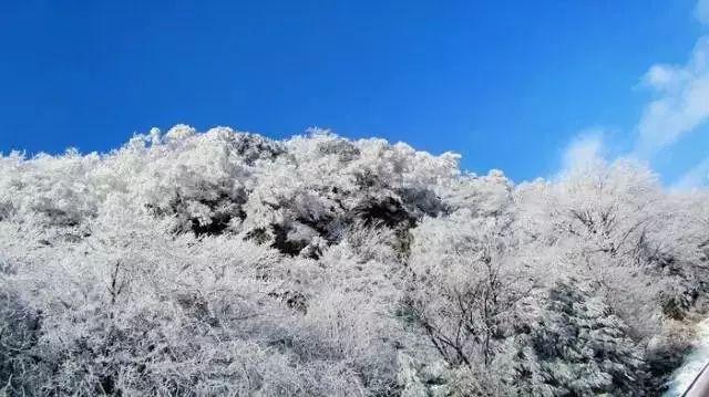 “聚合力凝民心”通化县东安街道东生社区召开“大党委”党建联席会议