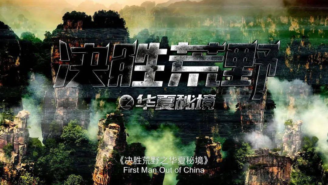 玉米播种后容易被鸟类刨食,要如何驱鸟呢?有什么办法?——专属你的灵魂社区!